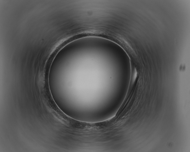 X0000091560484200708241819