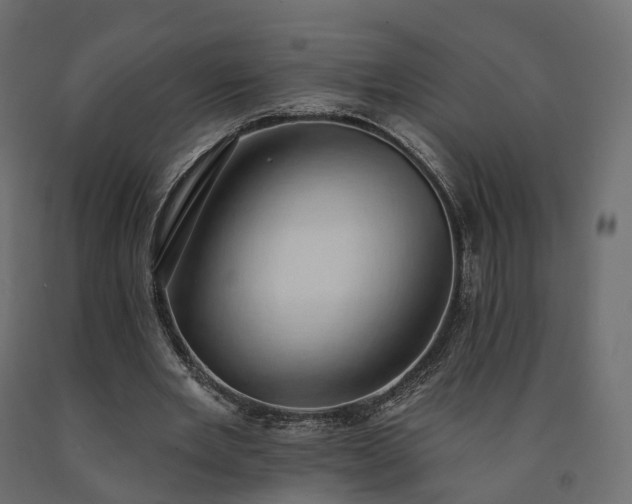 X0000091560485200708241819