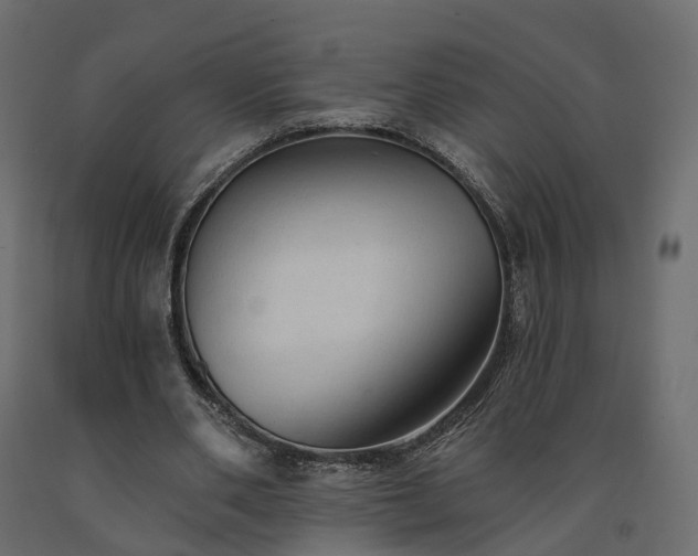 X0000091560486200708241819