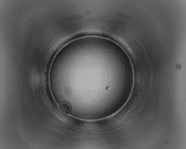 X0000091560487200708241819