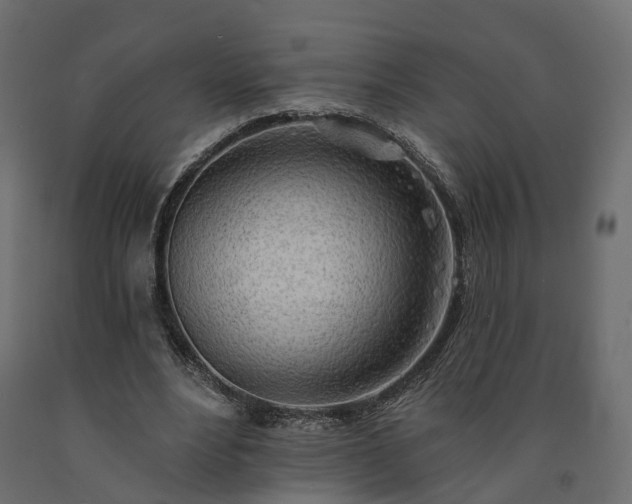 X0000091560488200708241819