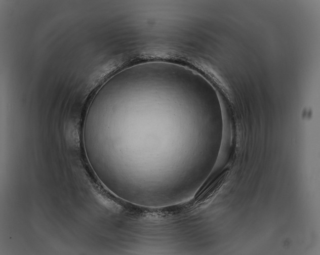 X0000091560489200708241819