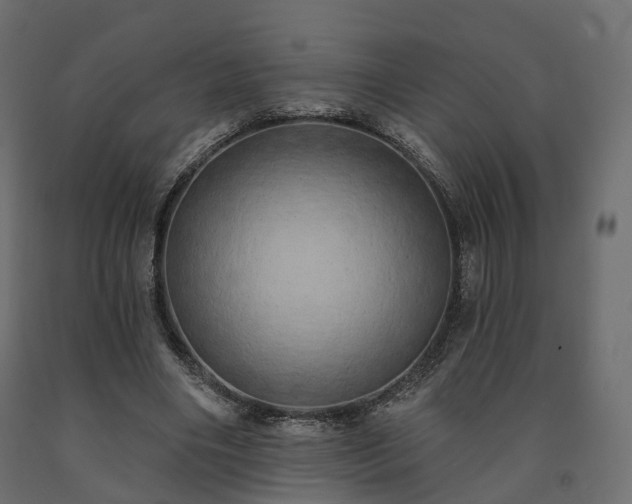 X0000091560490200708241819