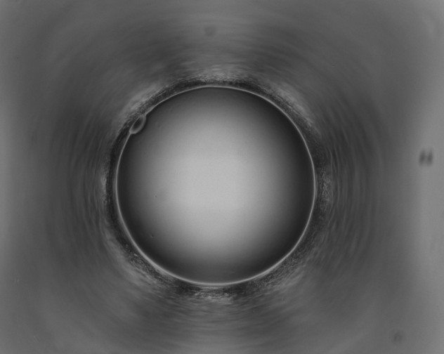 X0000091560491200708241819