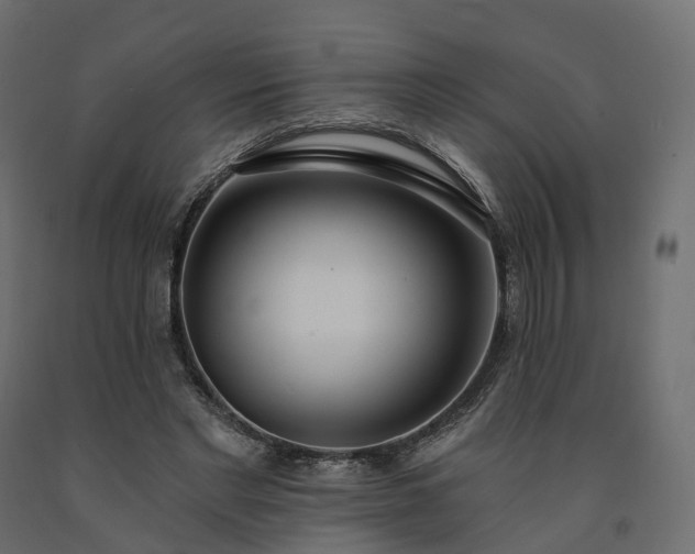 X0000091560493200708241819