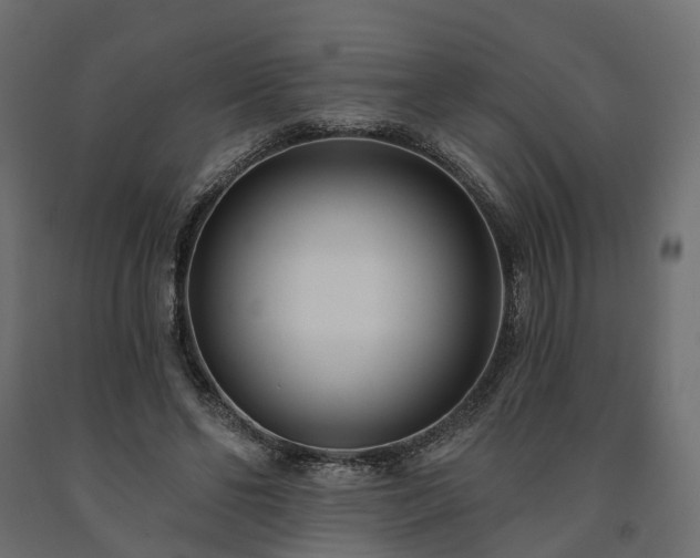 X0000091560494200708241819