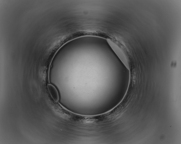 X0000091560495200708241819