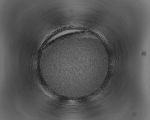 X0000091560496200708241819