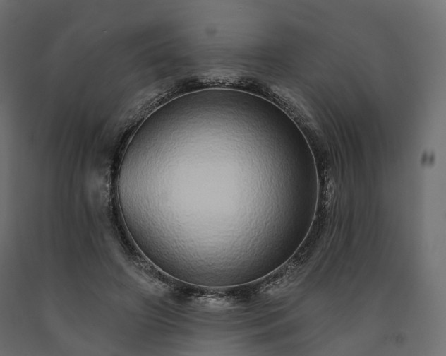 X0000091560498200708241819