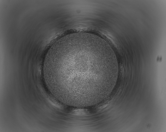 X0000091560499200708241819