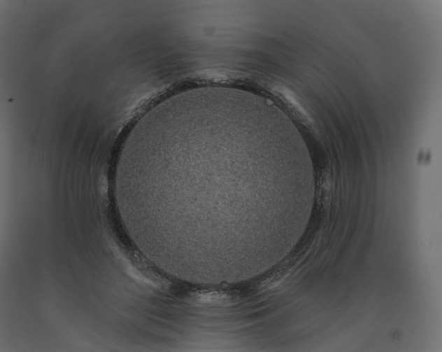 X0000091560500200708241819