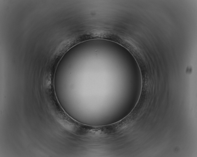 X0000091560502200708241819