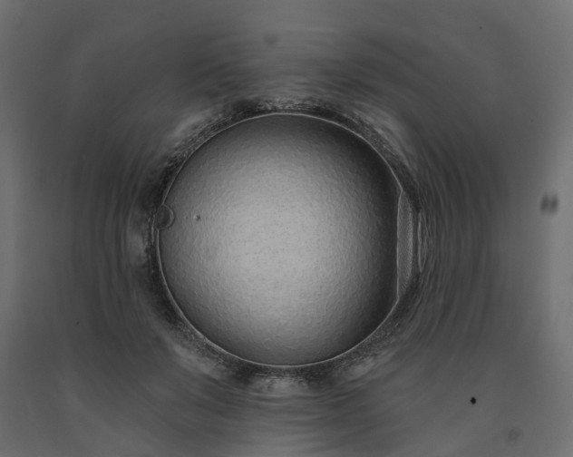 X0000091560503200708241819