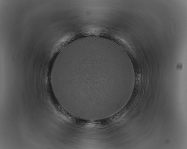 X0000091560504200708241819