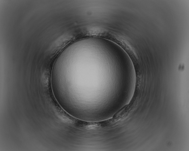 X0000091560505200708241819