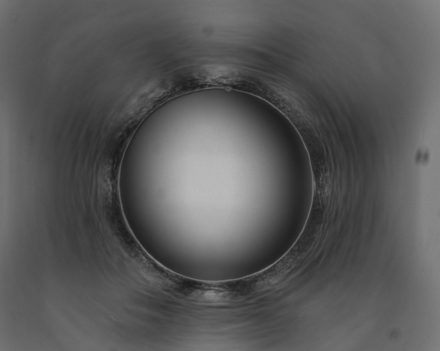 X0000091560506200708241819