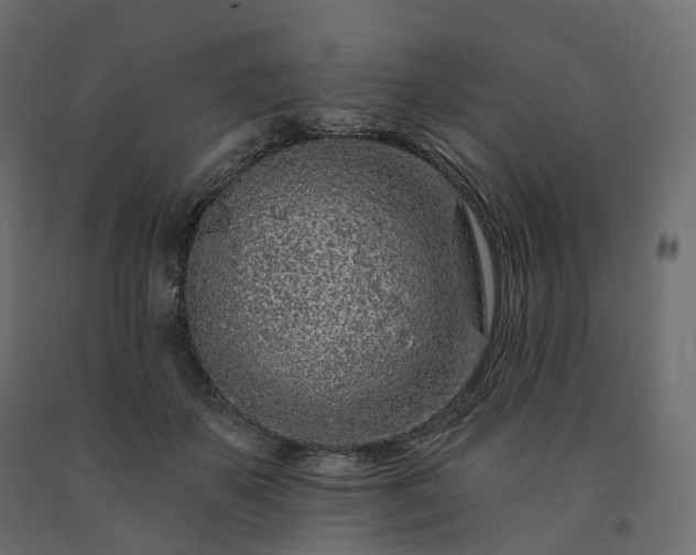 X0000091560507200708241819