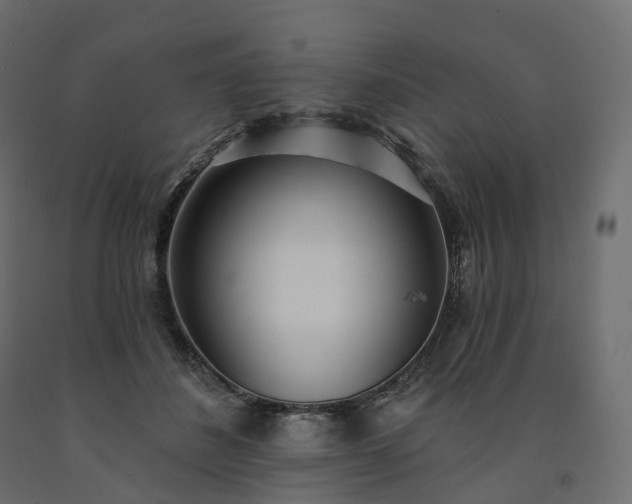 X0000091560508200708241819