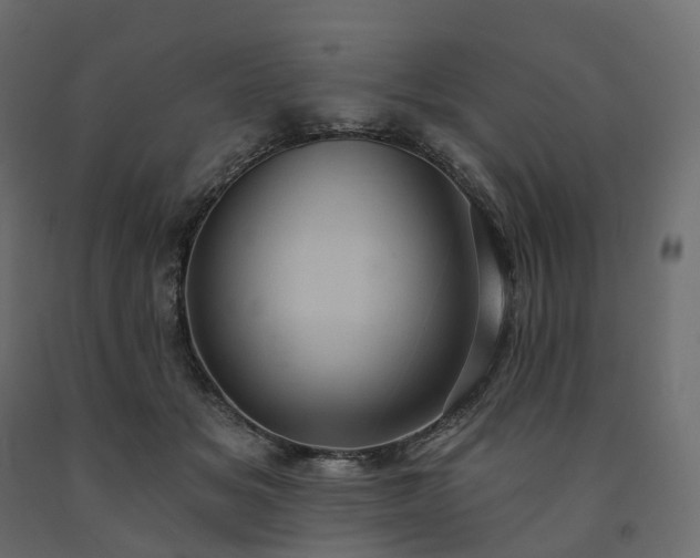 X0000091560509200708241819