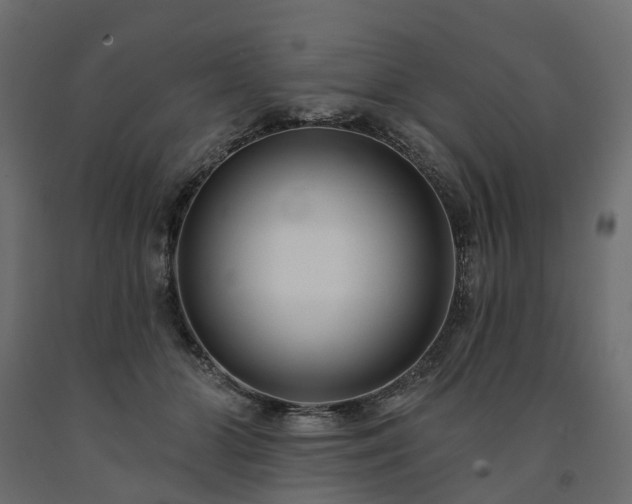 X0000091560510200708241819