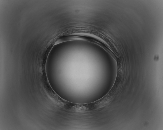 X0000091560512200708241818