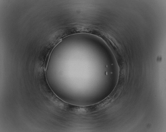 X0000091560513200708241818