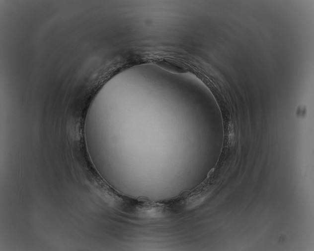 X0000091560514200708241818