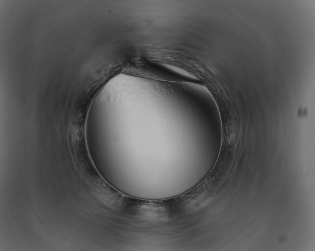 X0000091560515200708241818