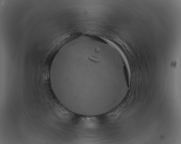 X0000091560517200708241818