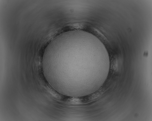 X0000091560518200708241818