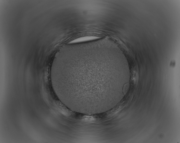 X0000091560519200708241818