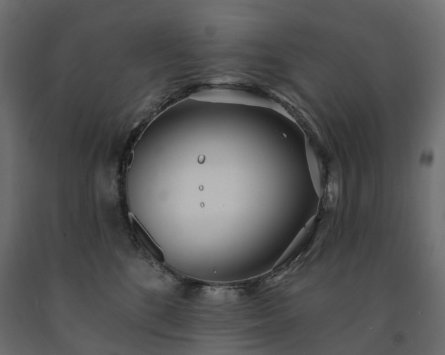 X0000091560520200708241818