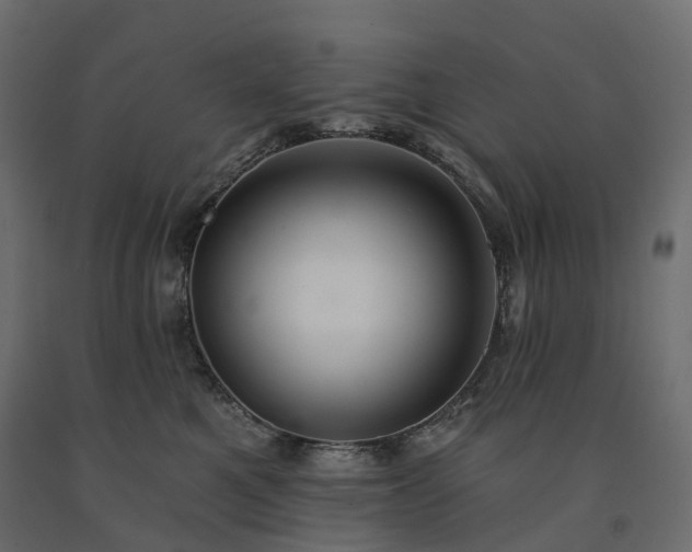 X0000091560521200708241818