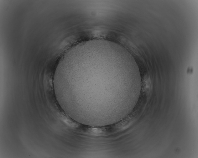 X0000091560522200708241818