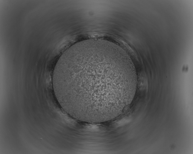 X0000091560523200708241818