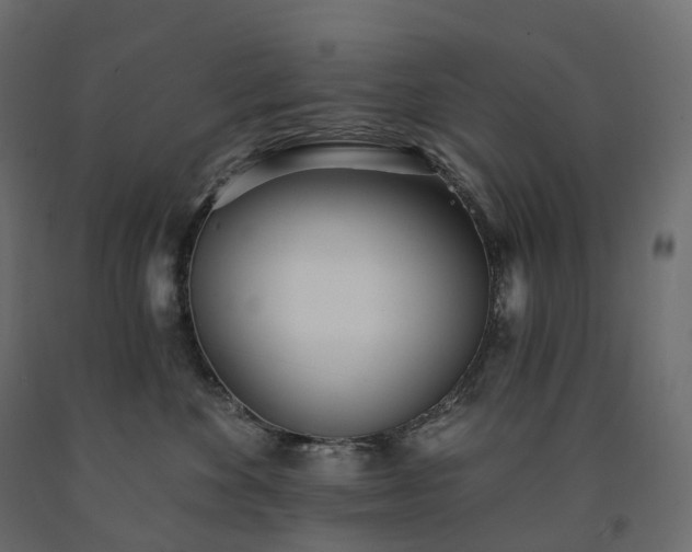 X0000091560524200708241818