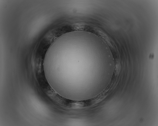 X0000091560525200708241818