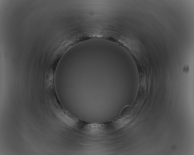 X0000091560526200708241818