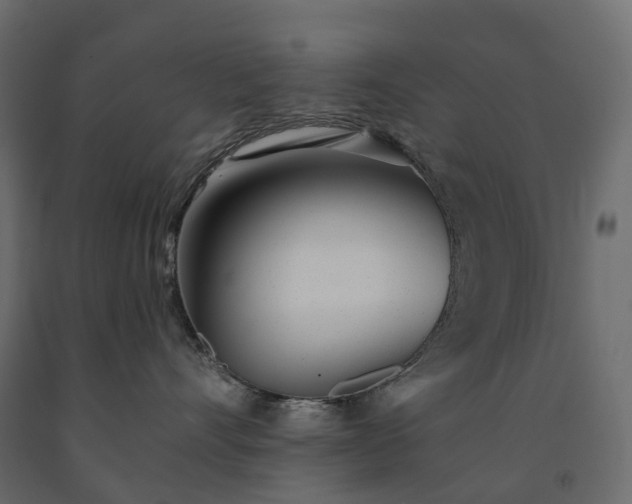 X0000091560528200708241818