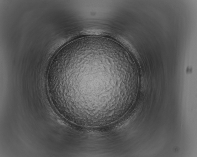 X0000091560529200708241818