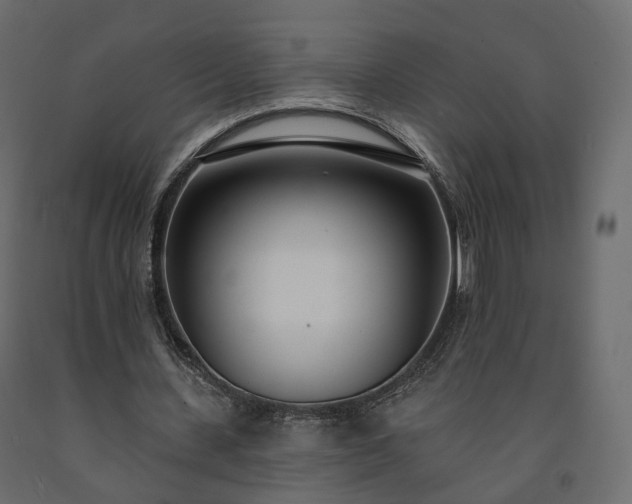 X0000091560531200708241818