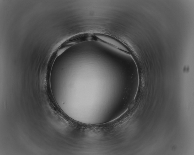 X0000091560532200708241818