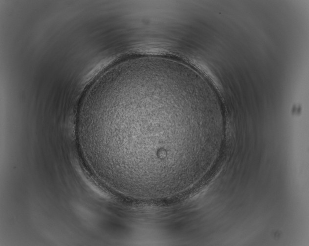 X0000091560533200708241818