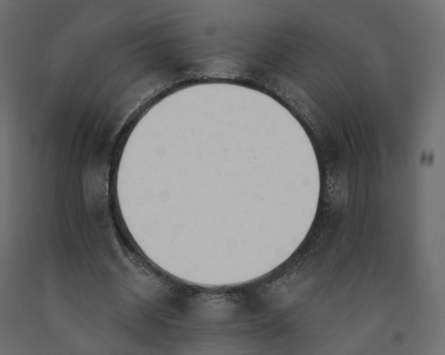 X0000091560534200708241818