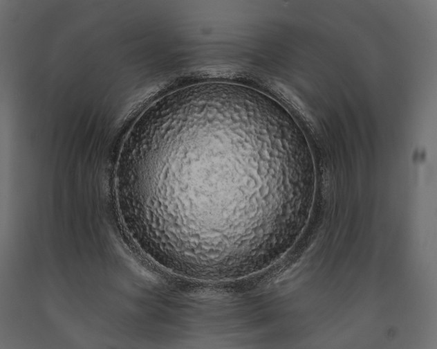 X0000091560537200708241818