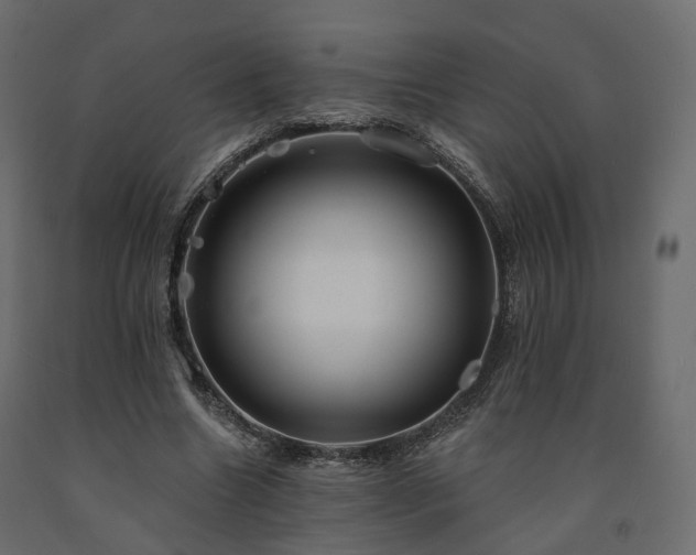 X0000091560538200708241818