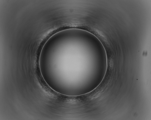 X0000091560540200708241818