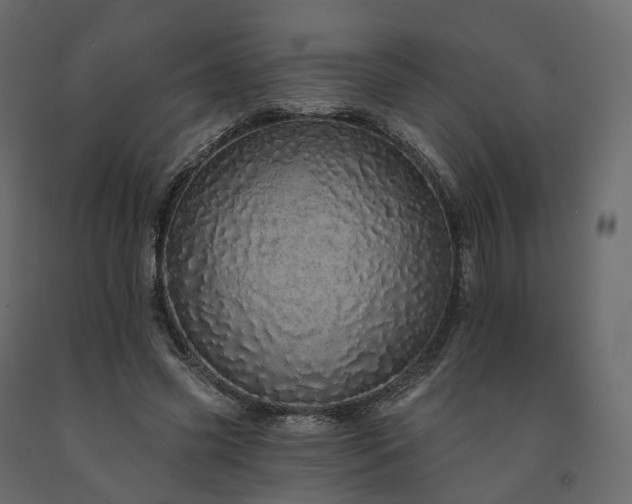 X0000091560541200708241818