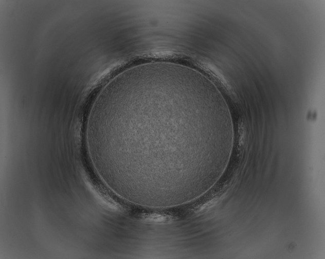 X0000091560542200708241818