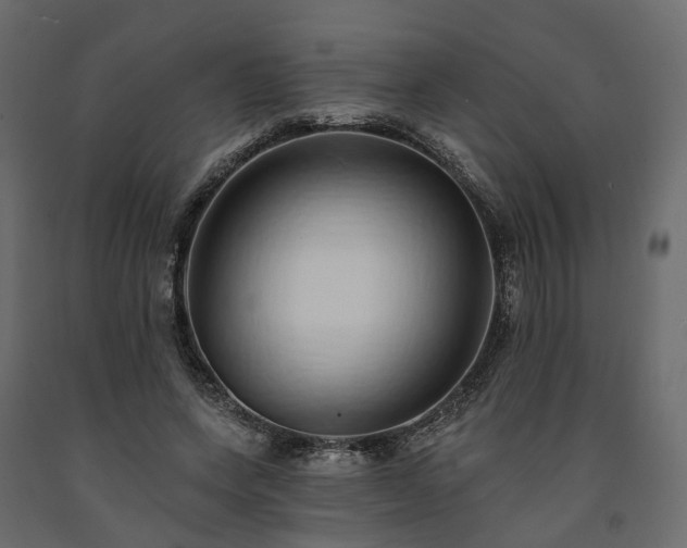 X0000091560543200708241818